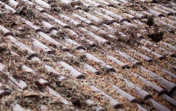 Little Moor roof cleaning companies