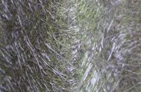 Little Moor fibreglass roof work